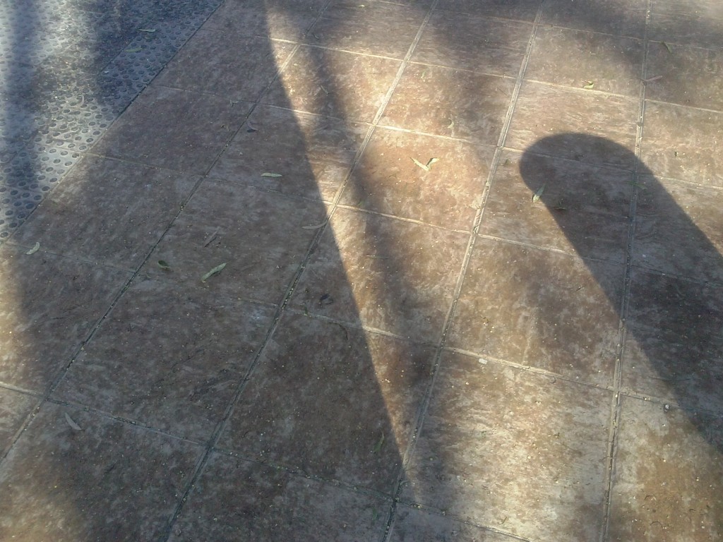 El suelo con la melaza que suelta el parásito Suelo frente a las antiguas oficinas impregnado de la melaza