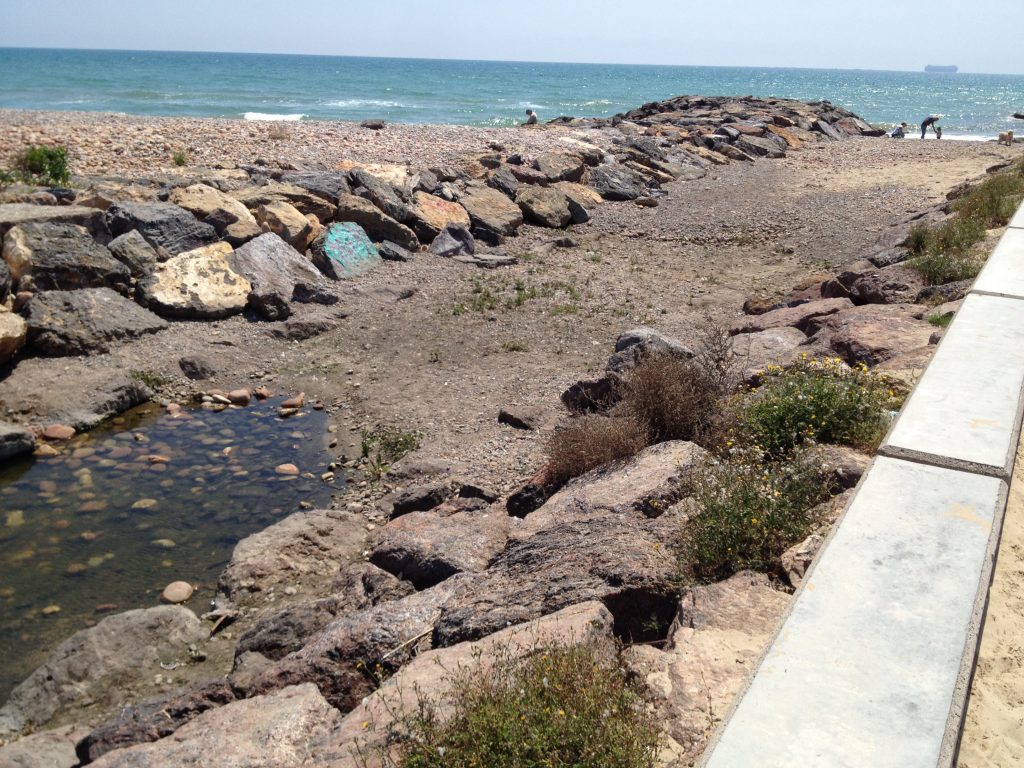 Sedimentos que detienen la salida del agua al mar