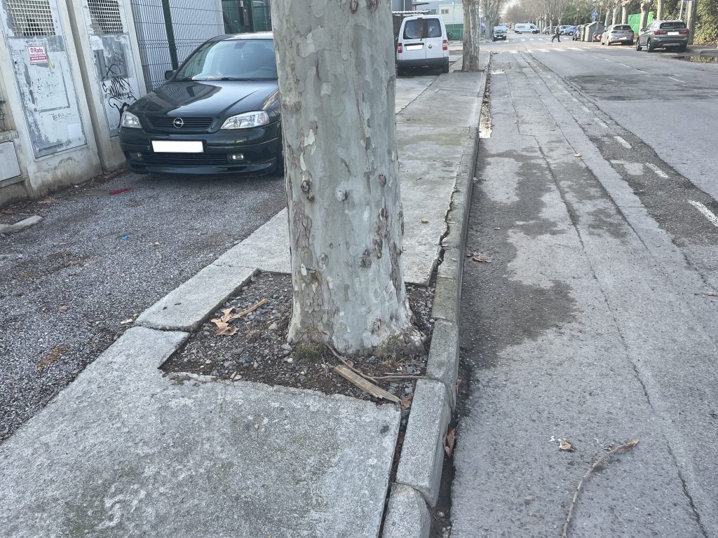 Coches que impiden pasar por el camino 